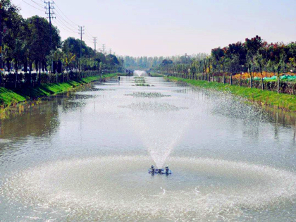Water Environment Governance