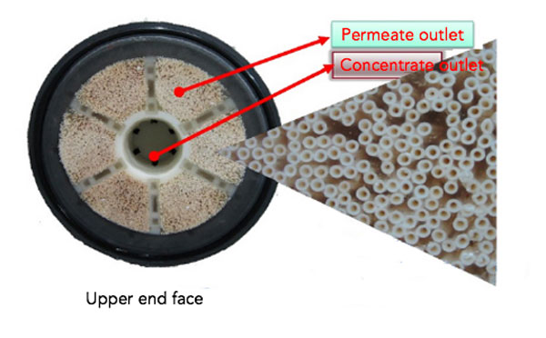 organic membrane module low end face features