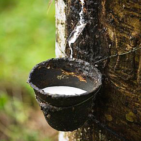 natural-rubber.jpg