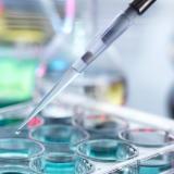 Amino Acid Fermentaion Broth Clarification