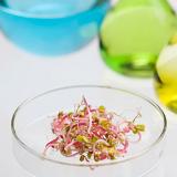 Bio-production Clarification