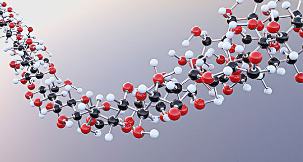 Lincomycin