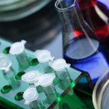 Organic Acid Fermentation Broth Clarification