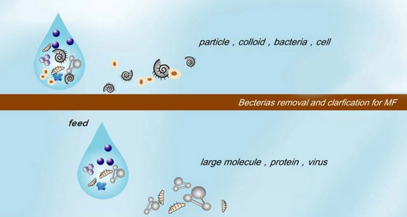 MF Membrane Technology