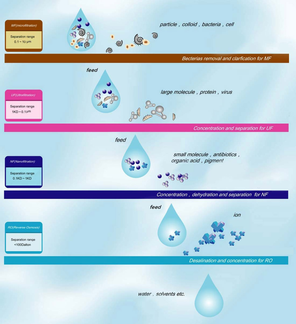 MF Membrane Technology