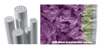 SEM photo of membrane section