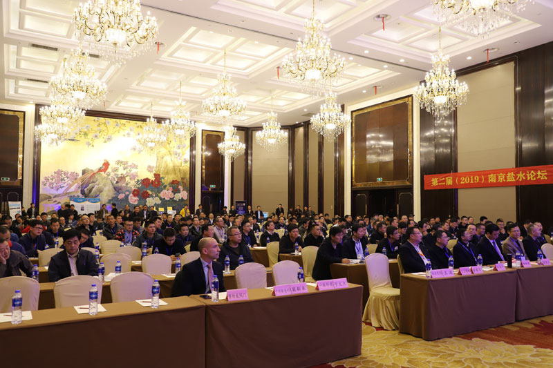 The Second Nanjing Brine Forum of JIUWU HI-TECH