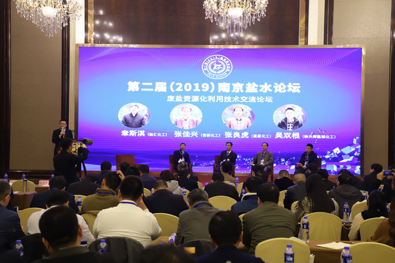 The Second Nanjing Brine Forum of JIUWU HI-TECH