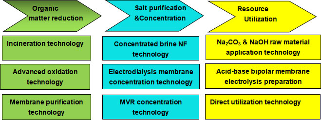 Membrane Integration Technology Applied in Waste Salt and Concentrated Brine Recovery