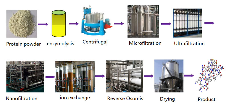 Process flow chart of peptides production